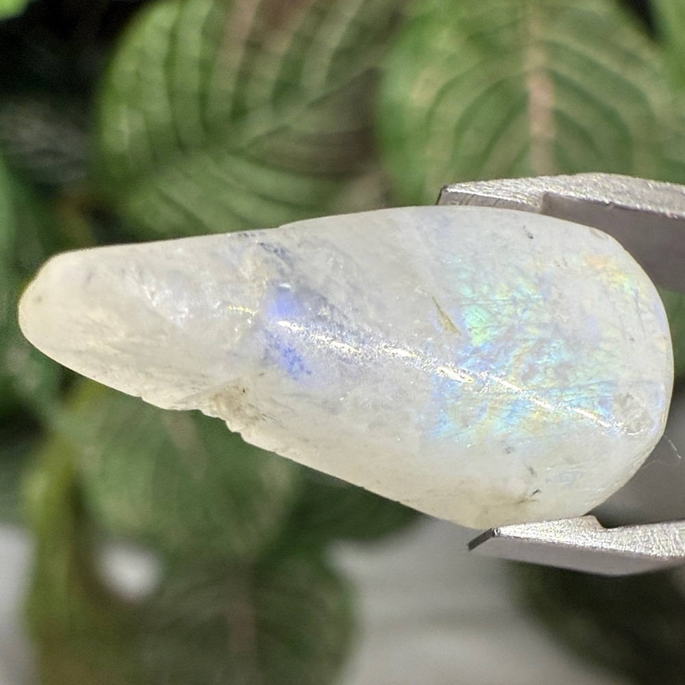 Rainbow Moonstone Pear Cabochon